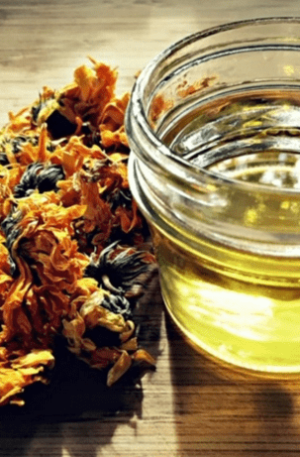 Calendula Infused Oil - 1oz