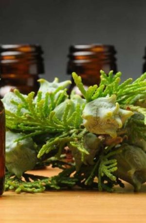 Cypress Spanish Oil - 15ml