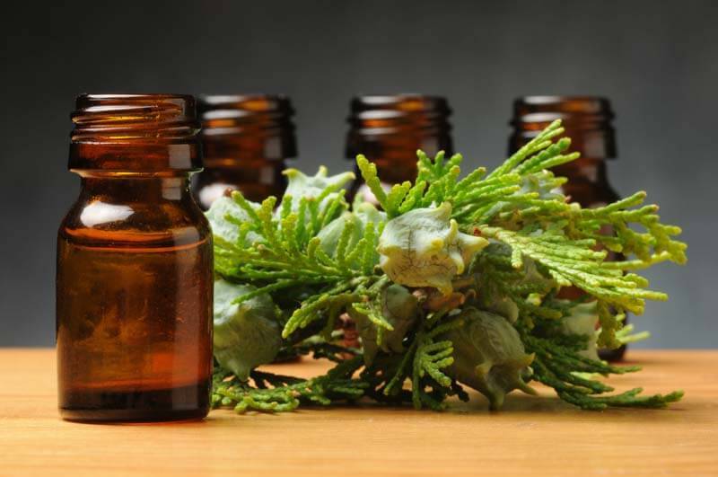 Cypress Spanish Oil - 15ml