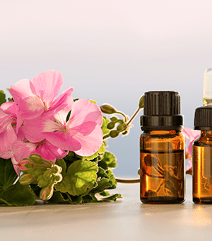 Geranium Egyptian Oil - 15ml