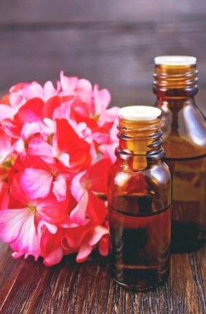 Geranium (Rose) Egyptian Oil - 15ml