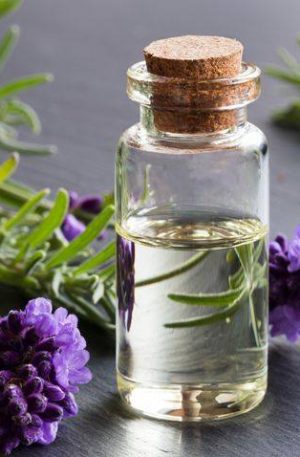 Lavender Bulgarian Oil -15ml