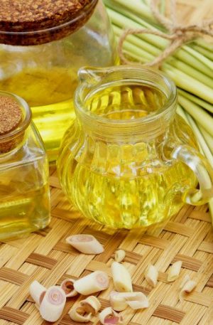 Lemongrass Indian Oil - 15ml