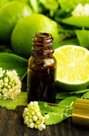 Lime Distilled Mexican Oil - 15ml