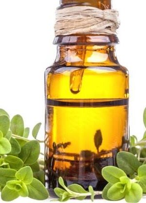 Marjoram Sweet Oil - 15ml
