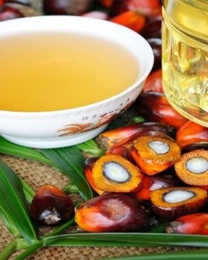 Palm Kernel Oil (Sustainable) - 1lb
