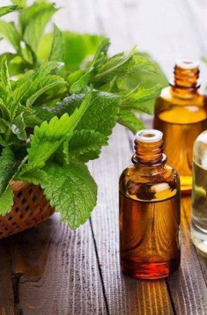 Patchouli Indonesian Oil - 15ml