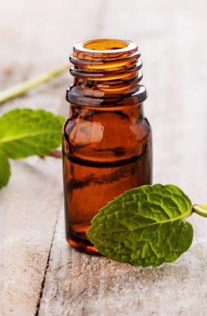 Spearmint FAR West Native - 15ml