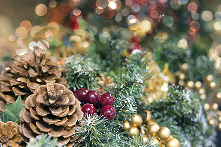 Christmas Tree Garland – 15ml | Valley Blossoms
